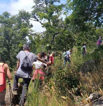 Trekking e raccolta erbe al Parco dei Castelli: aspettando la Notte delle streghe