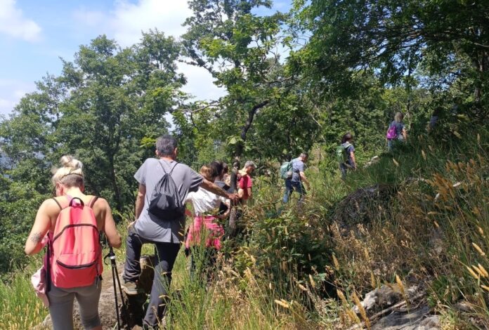 Trekking e raccolta erbe al Parco dei Castelli: aspettando la Notte delle streghe