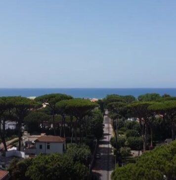 Fregene, troppi alberi abbattuti. Associazioni e residenti lanciano l’allarme (VIDEO)