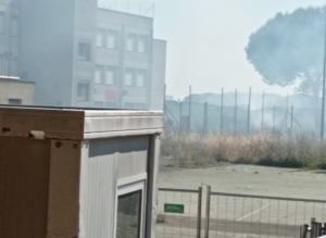 Dragoncello, vasto incendio minaccia una scuola e una palestra: intervengono i vigili del fuoco (VIDEO) 1