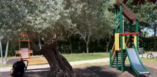 Guidonia, riapre al pubblico il “Parco dei Frutti”