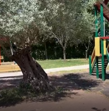 Guidonia, riapre al pubblico il “Parco dei Frutti”