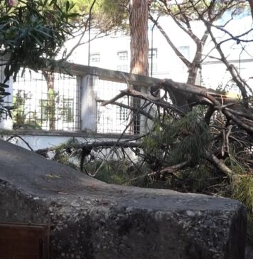 Ostia, “piovono” rami vicino alla parrocchia: area interdetta, avviata sottoscrizione per aiuti (VIDEO)