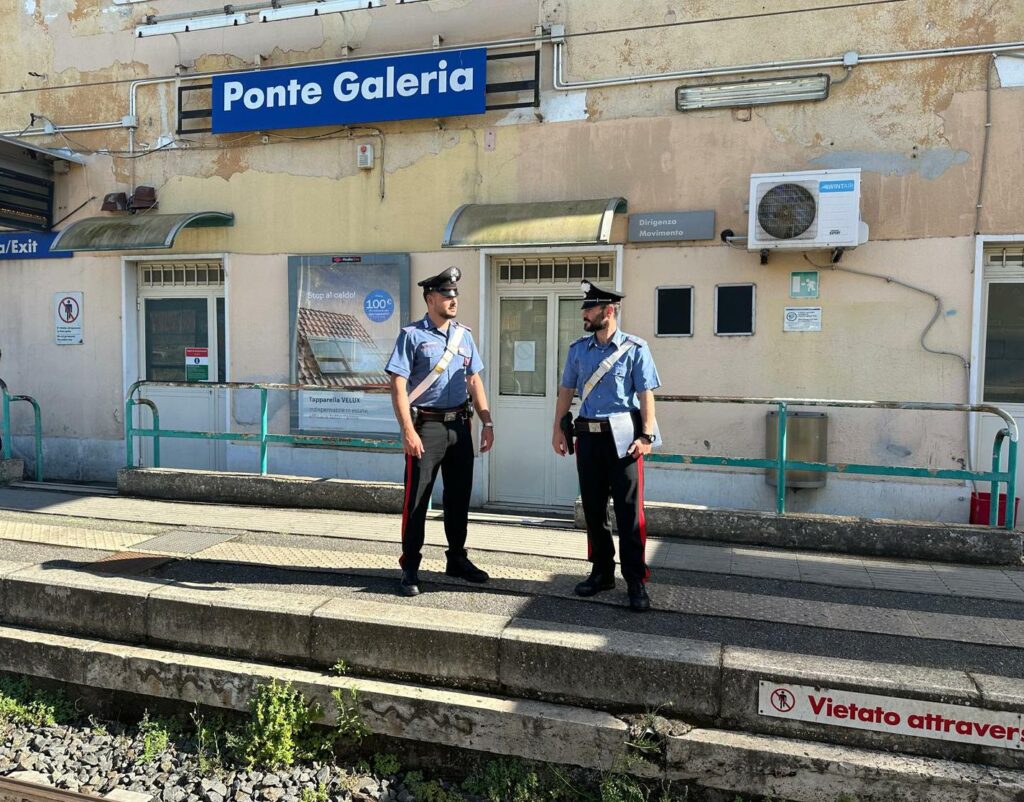 Cane ucciso a coltellate, cresce l'indignazione: “Ora pene severe” 1