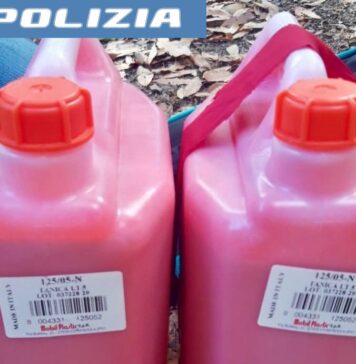 Roma, Ultima Generazione: Polizia ferma attivisti con taniche di vernice