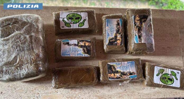 Droga -hashish
