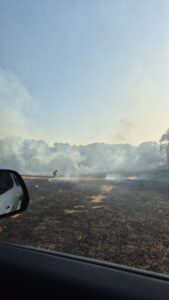 E' ripartito l'incendio nell'area dell'Inviolata, situazione critica