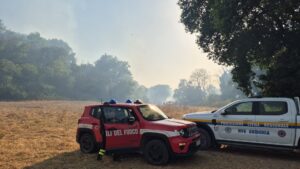 Guidonia, di nuovo fiamme nell’area dell’Inviolata (VIDEO) 1