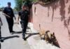 Morti sospette di animali ad Ardea, in azione le Unità antiveleno