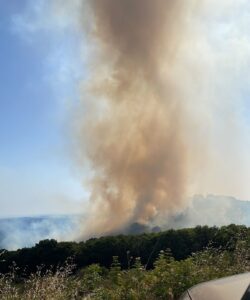 Roma e provincia, Vigili del Fuoco: oltre trenta incendi in poche ore tra hinterland e litorale. Fiamme indomabili sul Tuscolo 1