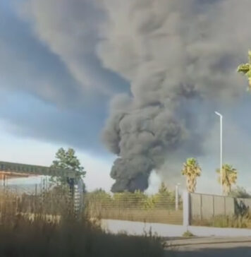 Anzio, incendio nell’area dello stabilimento Ecoimballaggi