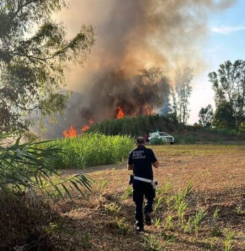 Ostia, da una baracca il furioso incendio e le esplosioni