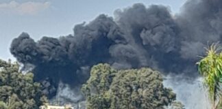 Ladispoli, incendio allarma residenti: Vigili del Fuoco sul posto