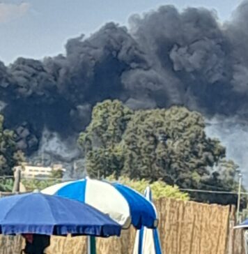 Ladispoli, incendio allarma residenti: Vigili del Fuoco sul posto