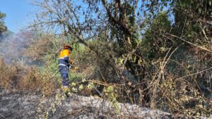 Guidonia, di nuovo fiamme nell’area dell’Inviolata (VIDEO) 2