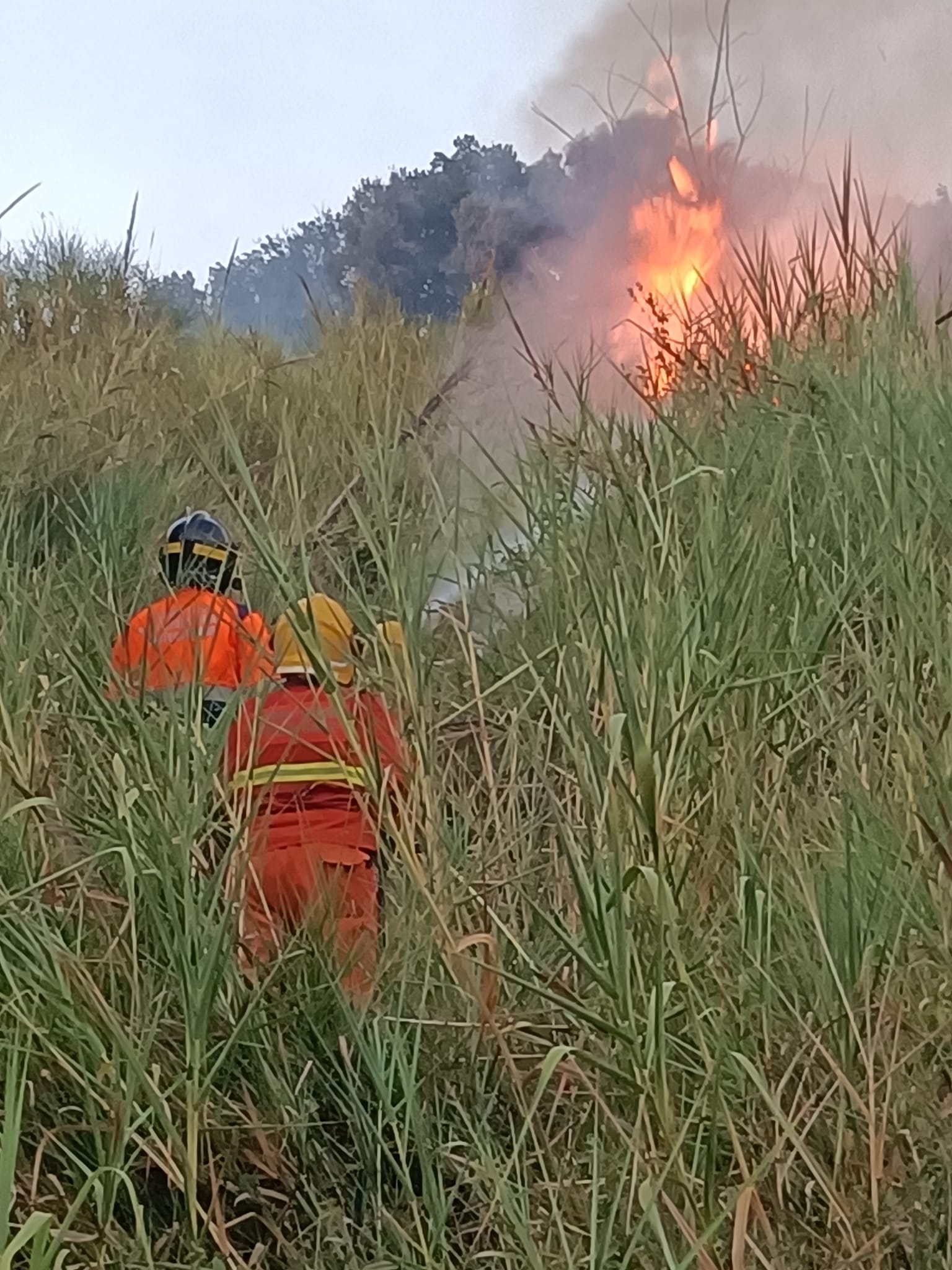 Castelnuovo, l'incendio avanza: rinforzi dal Nord Italia (VIDEO) 3