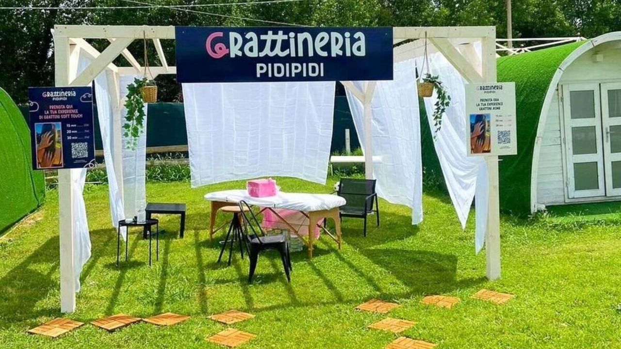 Grattineria Pidipidi