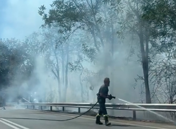 Emergenza incendi a Ostia: vasto rogo esploso sulla Via del Mare. Protezione civile: "E' massima allerta" 1