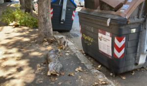 Ostia, tronco crolla su un’auto: momenti di paura in pieno centro 2