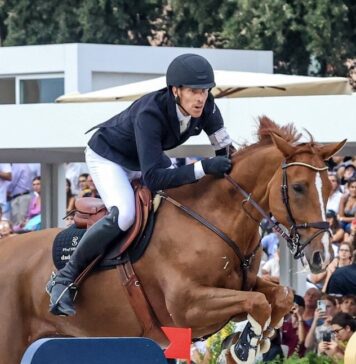 Equitazione, salto a ostacoli