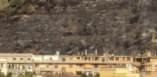 La collina di Monte Mario dopo l'incendio