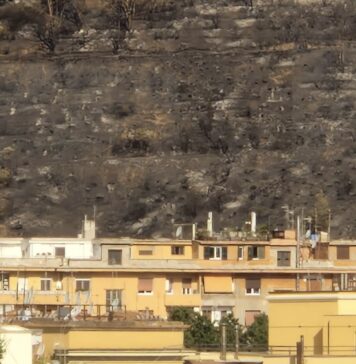La collina di Monte Mario dopo l'incendio