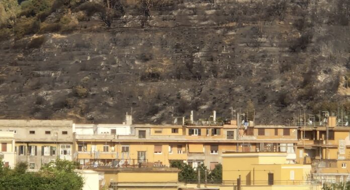 La collina di Monte Mario dopo l'incendio