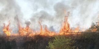 Fiamme alte nell'incendio di Tor Cervara