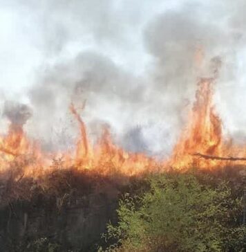 Fiamme alte nell'incendio di Tor Cervara