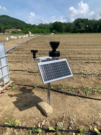 Bat Italia lancia Weplant, Ia e innovazione al servizio agricoltura sostenibile