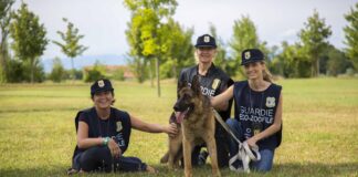 Come diventare guardia zoofila: aperte le iscrizioni al corso gratis