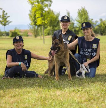 Come diventare guardia zoofila: aperte le iscrizioni al corso gratis