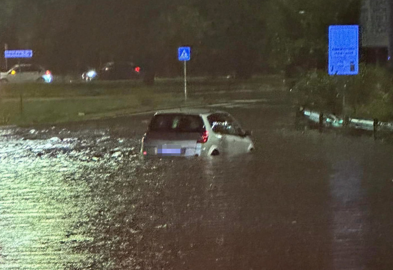 Temporale a Roma: la conta dei danni tra alberi caduti e allagamenti 1