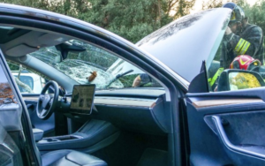 Ostia, a un passo dalla tragedia: pino si abbatte su un'auto con padre e bimbo a bordo (VIDEO) 1