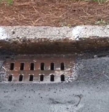 Ostia, parte la pulizia delle caditoie: strade interessate e divieti - Canaledieci.it