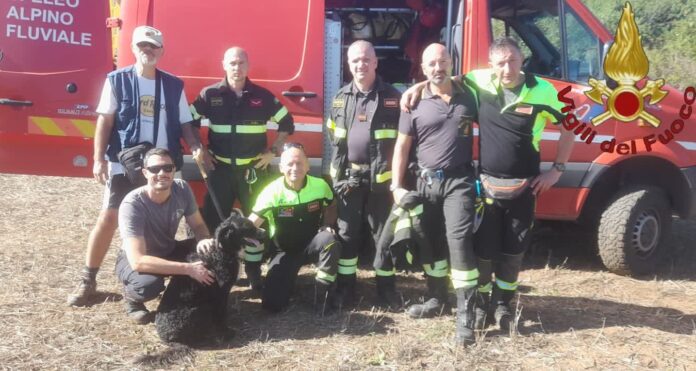 Roma, cane precipita in un pozzo: salvato dai Vigili del Fuoco