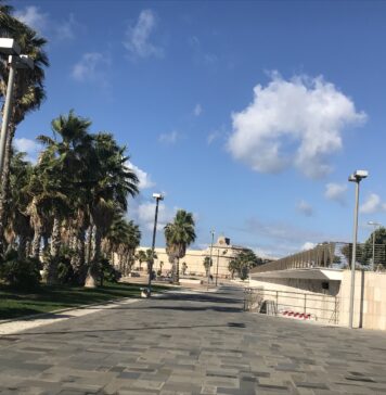 Civitavecchia, festival dei cortometraggi: il programma del “TERRAE Film Fest”