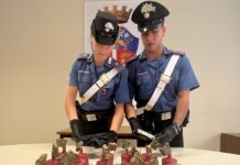 Fiumicino, controlli a tappeto: i carabinieri sequestrano armi, munizioni e petardi