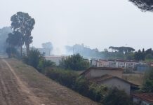 Acilia, incendio in un campo di sterpaglie: case minacciate dal fuoco (VIDEO)