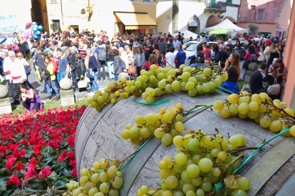 La Sagra dell'Uva di Marino compie 100 anni: 11 giorni di festa 2