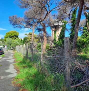 Ostia, via Oletta. I residenti: "Parco e marciapiedi, servono interventi urgenti"