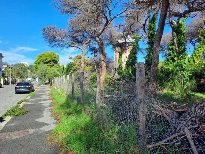 Ostia, via Oletta. I residenti: "Parco e marciapiedi, servono interventi urgenti"