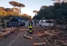 Viale della Villa di Plinio, strada resta chiusa: un pino era crollato su un’auto con padre e figlio dentro