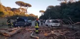 Viale della Villa di Plinio, strada resta chiusa: un pino era crollato su un’auto con padre e figlio dentro