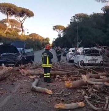 Viale della Villa di Plinio, strada resta chiusa: un pino era crollato su un’auto con padre e figlio dentro