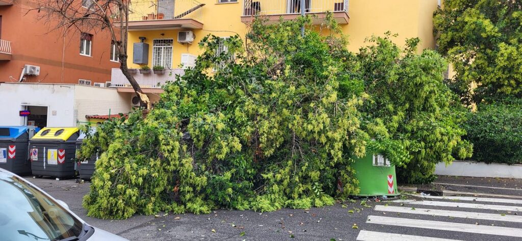 Alberi crollano sulla strada e su un'auto, paura a Monteverde e all'Appio 1