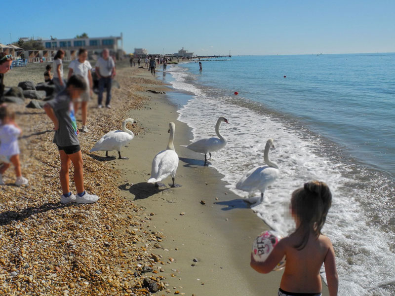 Roma, tutti al mare per una domenica in stile balneare (VIDEO) 3