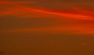 Ostia, in riva al mare per fotografare la cometa