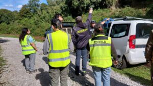 Cane giù dal dirupo a Canale Monterano, intervengono anche i rocciatori 1