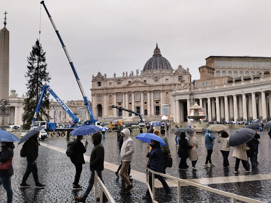 A San Pietro si monta l'albero di Natale: turisti perplessi (VIDEO) 2